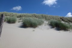 Img_1863