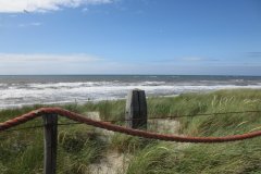 Img_1874