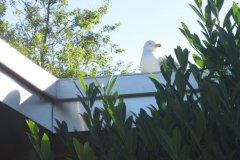 Img_1876