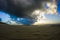 Texel-1