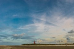 Texel-16