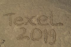 Texel-18