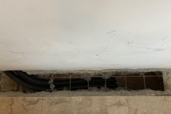 IMG_0974